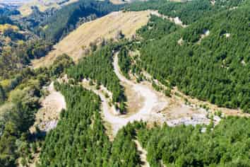 2020 Pohangina Valley East Road (Lot 1), Pohangina