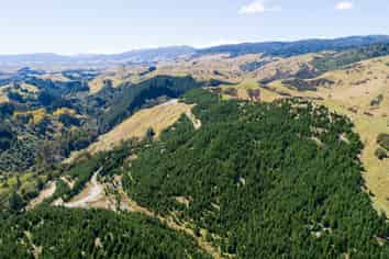 2020 Pohangina Valley East Road (Lot 1), Pohangina
