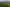 195 Garfield Road, Dannevirke