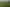 195 Garfield Road, Dannevirke