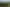 195 Garfield Road, Dannevirke