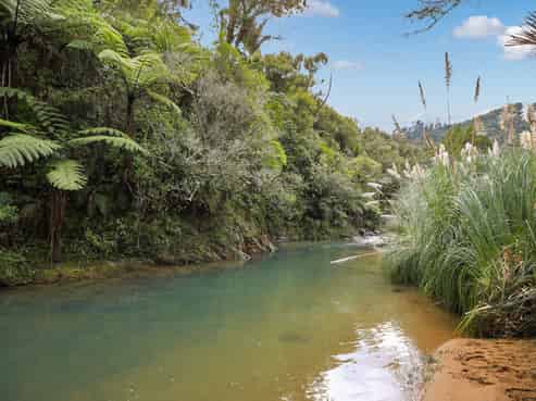 495 Kopu Hikuai SH 25A, Thames
