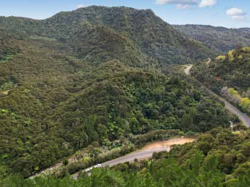 495 Kopu Hikuai SH 25A, Thames