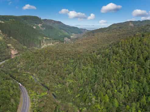 495 Kopu Hikuai SH 25A, Thames
