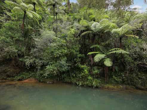 495 Kopu Hikuai SH 25A, Thames