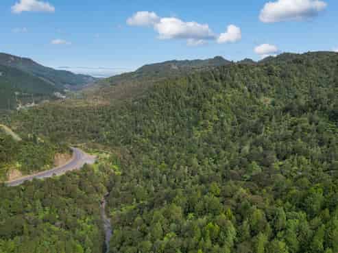 495 Kopu Hikuai SH 25A, Thames