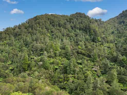 495 Kopu Hikuai SH 25A, Thames