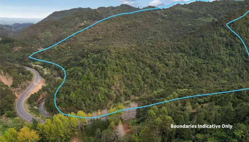 495 Kopu Hikuai SH 25A, Thames