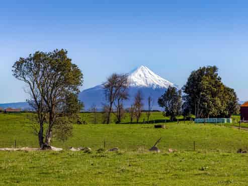 413 Ketemarae Road, Normanby