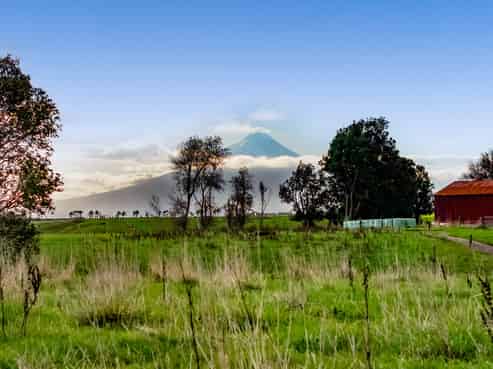 413 Ketemarae Road, Normanby
