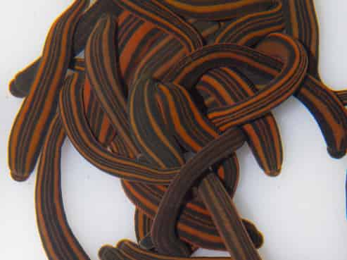 1023 Te Miro Road, Te Miro