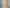 Wellington - Address withheld