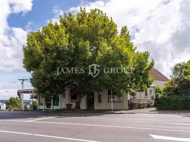ONE OF KIND CHARACTER OFFICE | PONSONBY