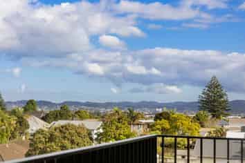 401/2 Miller Street, Point Chevalier