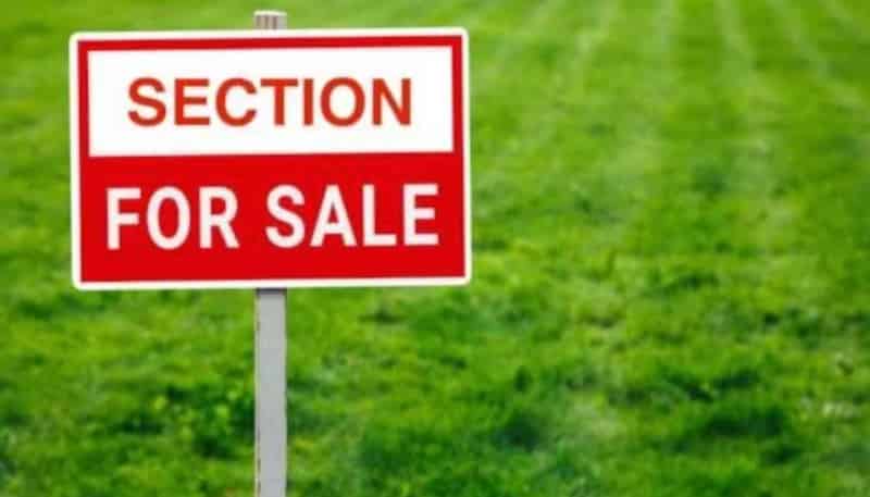 Lot 80/29 Belfield Road, Opaheke