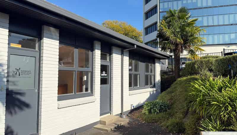 210 Collingwood Street, Hamilton Lake