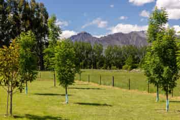 51 Grayburn Lane, Lake Hawea