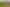 High-growth land near future Wellington link