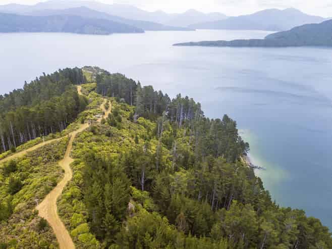 Lots 1 & 2 Ahitarakihi Bay, Queen Charlotte Sound