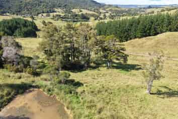 2934 State Highway 1, Mangamuka