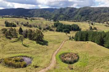 2934 State Highway 1, Mangamuka