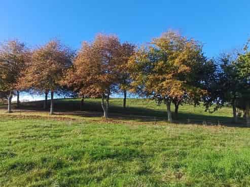  Tuki Tuki Road, Haumoana