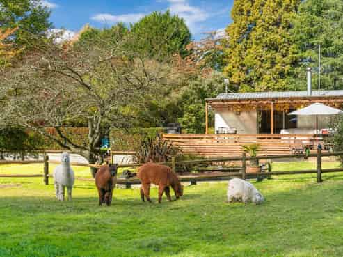 175 Forest Road, Oruanui