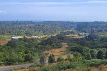 5 Middle Paddock Road, Hokitika