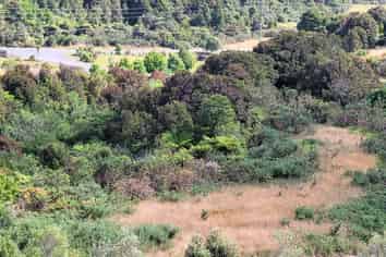 5 Middle Paddock Road, Hokitika