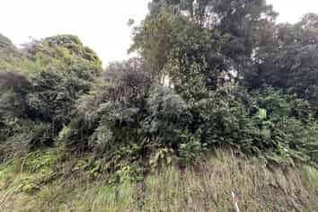 Lot . Omoto Valley Road, Kaiata