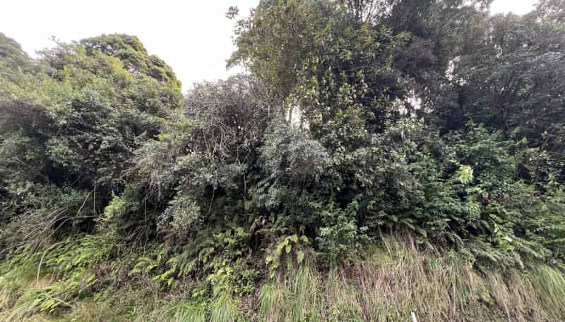 Lot ., Omoto Valley Road, Kaiata