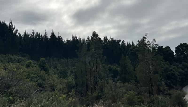 Lot ., Omoto Valley Road, Kaiata