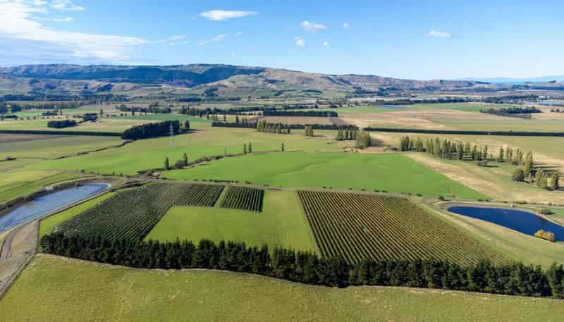 337 Mackenzies Road, Waipara