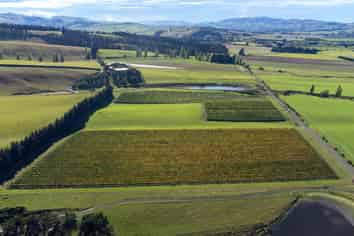 337 Mackenzies Road, Waipara