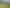 77 Appian Way, Ruatangata