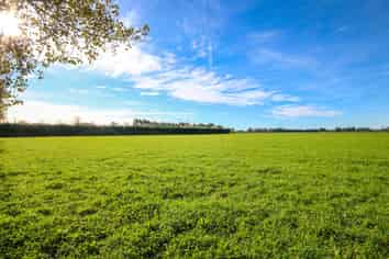 280 Tinwald Westerfield Mayfield Road, Tinwald