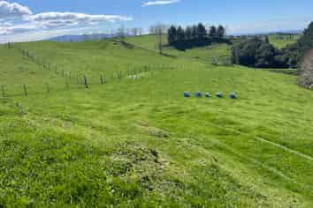 481 Honikiwi Road RD3, Otorohanga