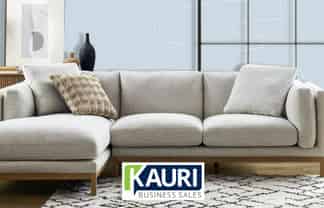 Simple Furniture Import and Manufacturing Business for Sale