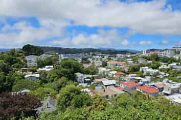 14 Essex Street, Aro Valley