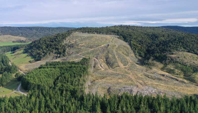  Waipati Road, Chaslands