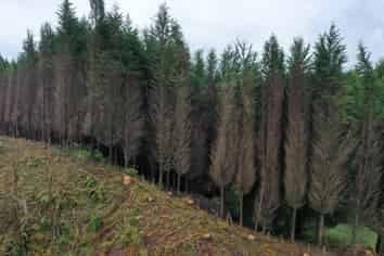  Waipati Road, Chaslands