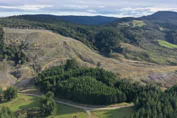  Waipati Road, Chaslands