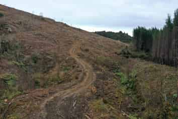  Waipati Road, Chaslands