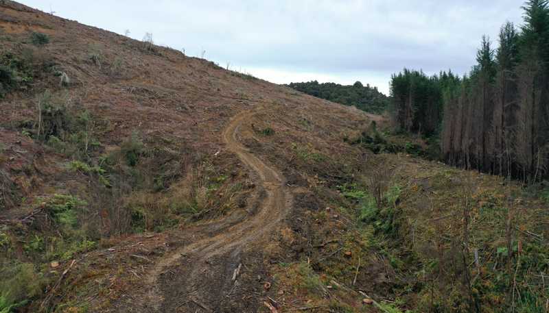  Waipati Road, Chaslands