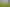 158 Shaw Road, Oratia