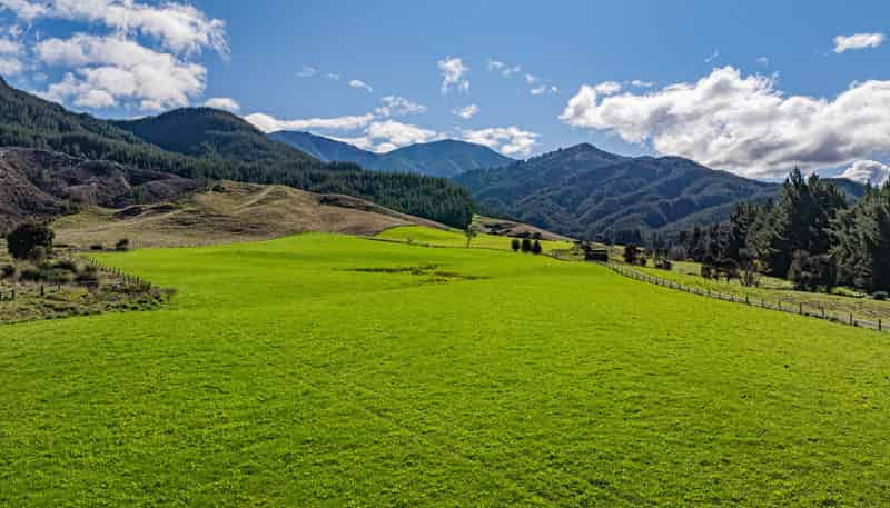 1642 Motueka River West Bank Road, Motueka Valley