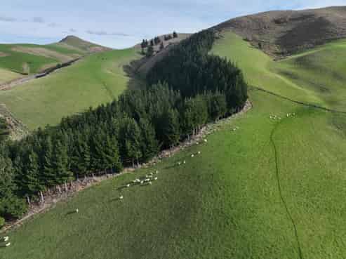 3 Conical Hill Road, Gore