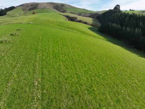 3 Conical Hill Road, Gore