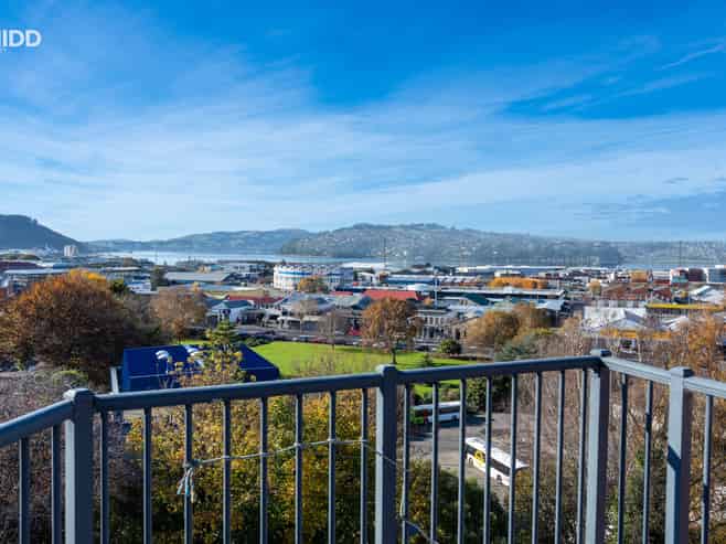 51 Manor Place, Dunedin Central