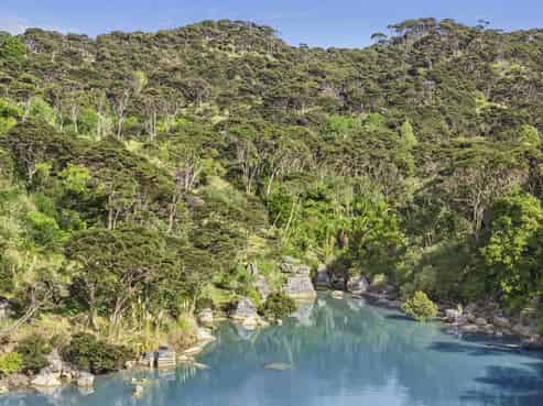 503 Te Akau Wharf Road, Te Akau